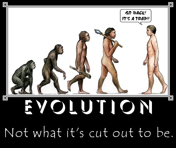 Evolution